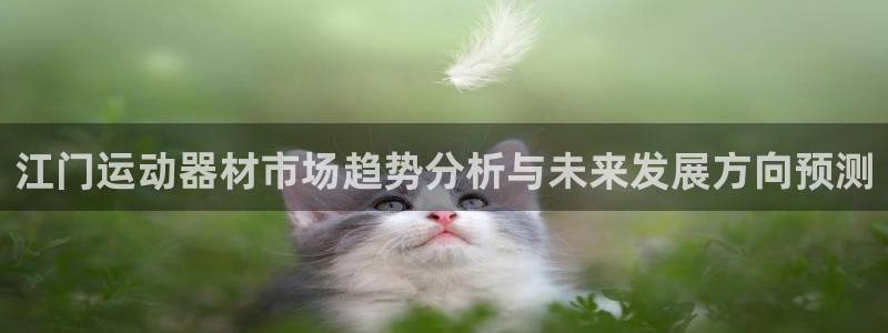 征途国际招商电话地址是多少：江门运动器材市场趋势分析