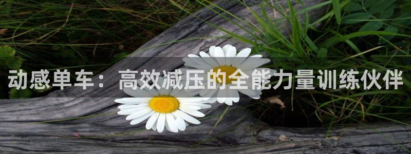 征途国际代理：动感单车：高效减压的全能力量训练伙伴