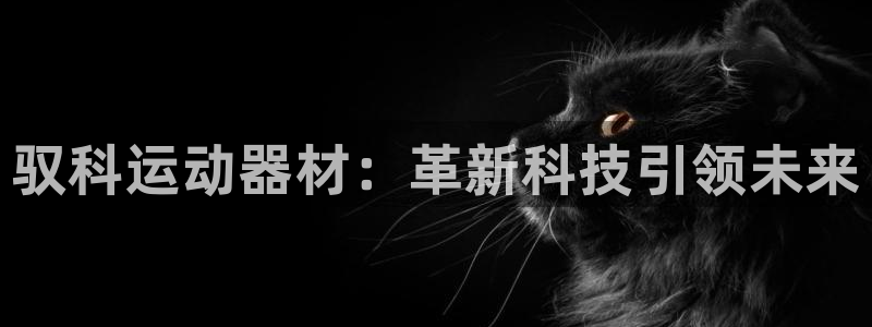 征途国际平台注册流程图：驭科运动器材：革新科技引领未