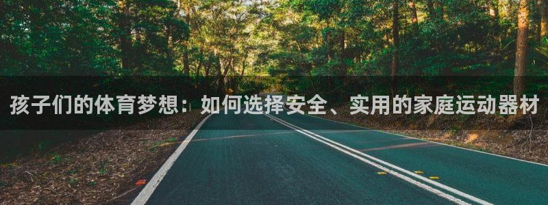 德国征途国际集团