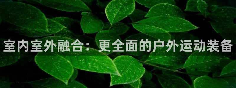 征途国际娱乐首页网站大全：室内室外融合：更全面的户外运动装备