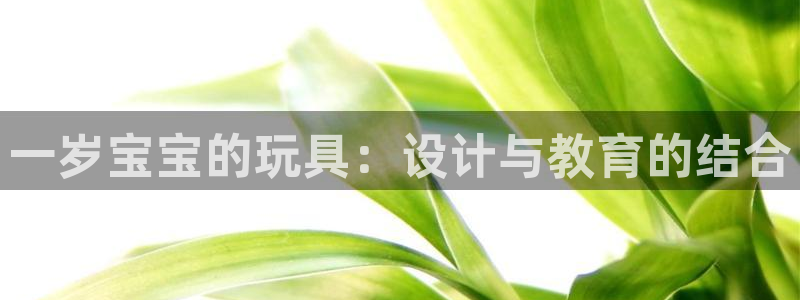征途国际娱乐网站：一岁宝宝的玩具：设计与教育的结合