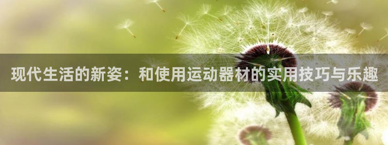 征途国际娱乐网站