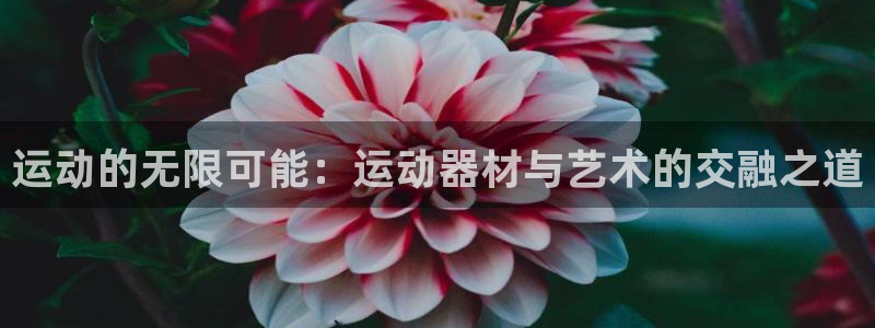 征途国际娱乐下载：运动的无限可能：运动器材与艺术的交融之道