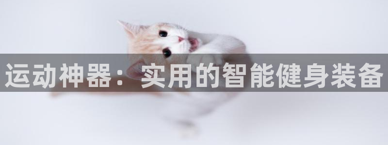 征途国际招商电话：运动神器：实用的智能健身装备