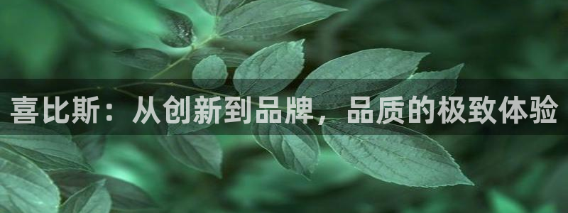 征途国际娱乐40996：喜比斯：从创新到品牌，品质的极致体验