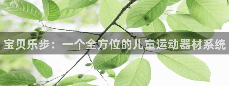 征途国际官网：宝贝乐步：一个全方位的儿童运动器材系统