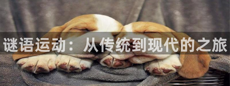 征途国际代理：谜语运动：从传统到现代的之旅