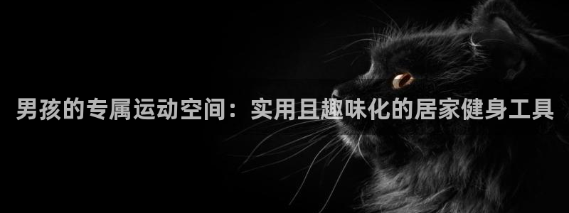 征途国际娱乐：男孩的专属运动空间：实用且趣味化的居家