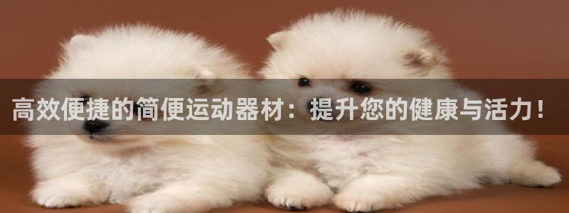 征途国际官网：高效便捷的简便运动器材：提升您的健康与活力！
