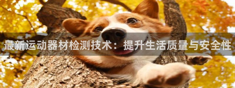 德国征途国际集团：最新运动器材检测技术：提升生活质量与安全性